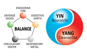 Basic Medical Theories in Chinese Medicine: The 5 Elements and Yin-Yang
